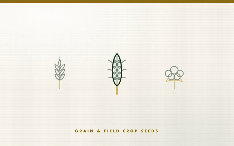 Grain & Field Crop Seeds