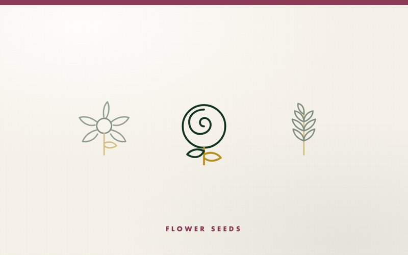 Flower Seeds