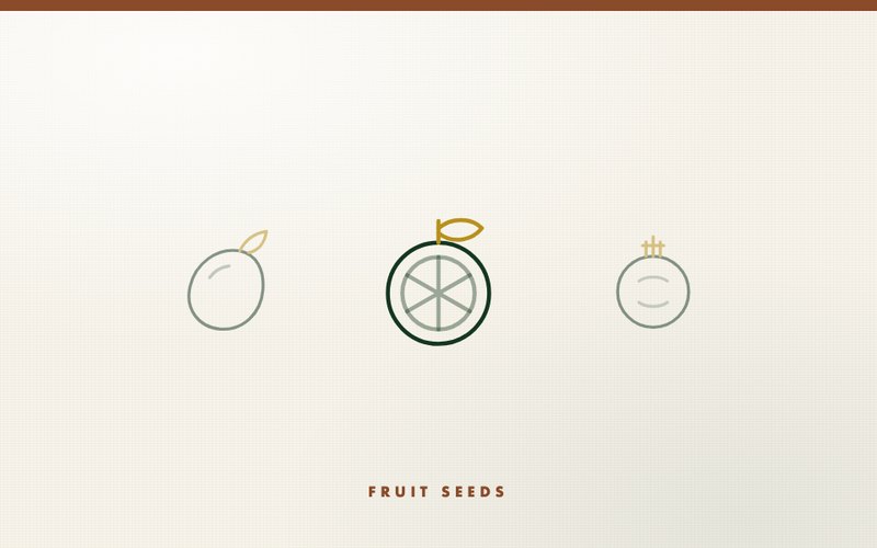 Fruit Seeds