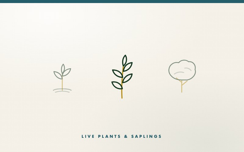 Live Plants & Saplings