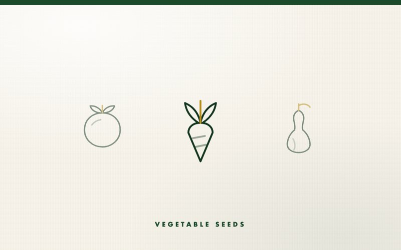Vegetable Seeds