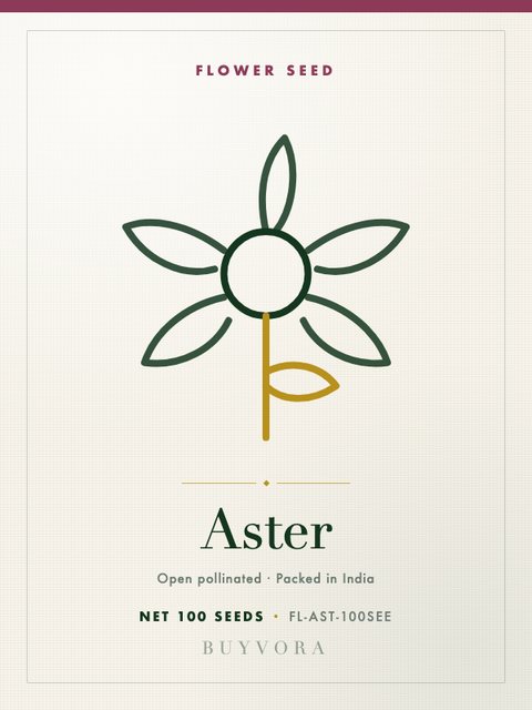 Aster Seeds 100 Seeds