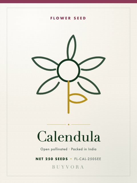 Calendula Seeds 250 Seeds