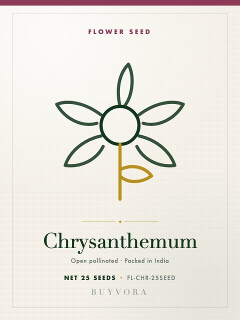 Chrysanthemum Seeds 25 Seeds