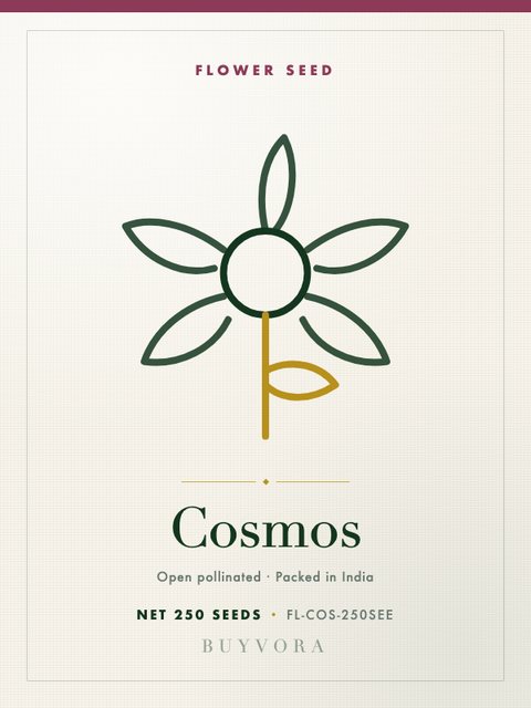 Cosmos Seeds 250 Seeds