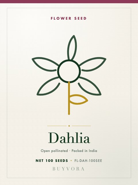 Dahlia Seeds 100 Seeds