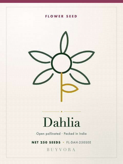 Dahlia Seeds 250 Seeds