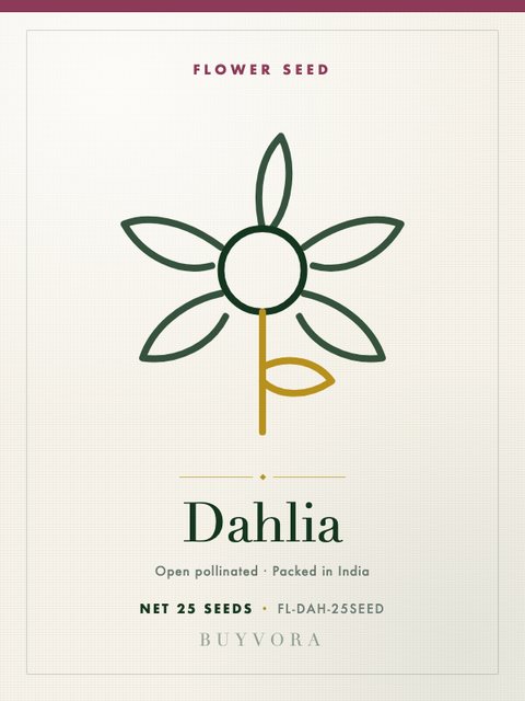 Dahlia Seeds 25 Seeds
