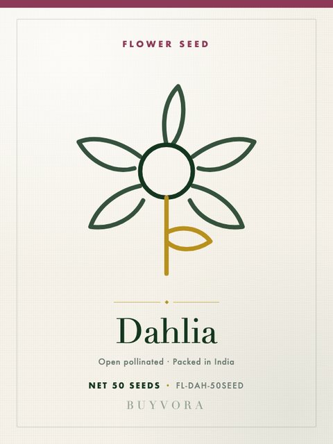 Dahlia Seeds 50 Seeds