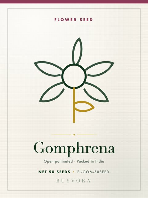 Gomphrena Seeds 50 Seeds
