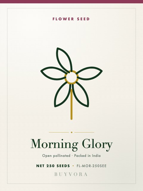 Morning Glory Seeds 250 Seeds