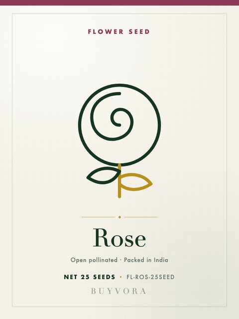 Rose Seeds 25 Seeds
