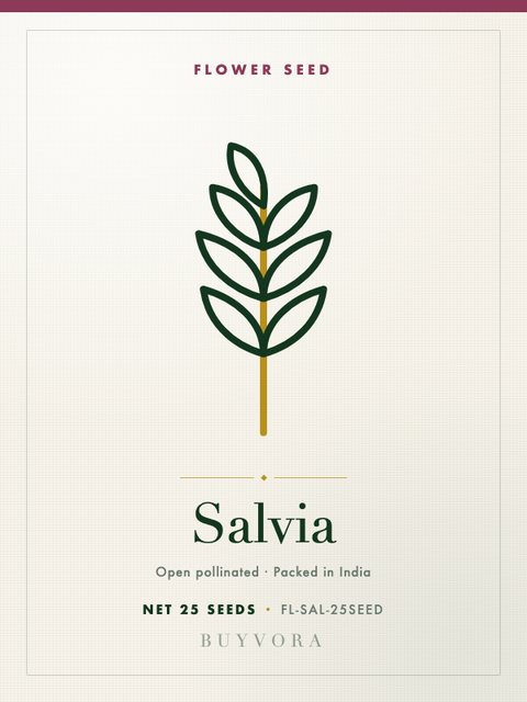 Salvia Seeds 25 Seeds