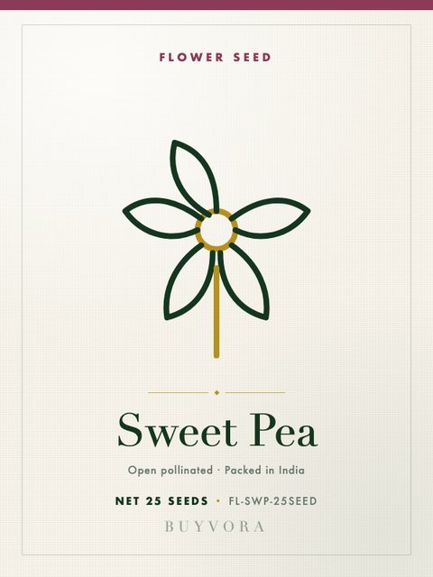 Sweet Pea Seeds 25 Seeds
