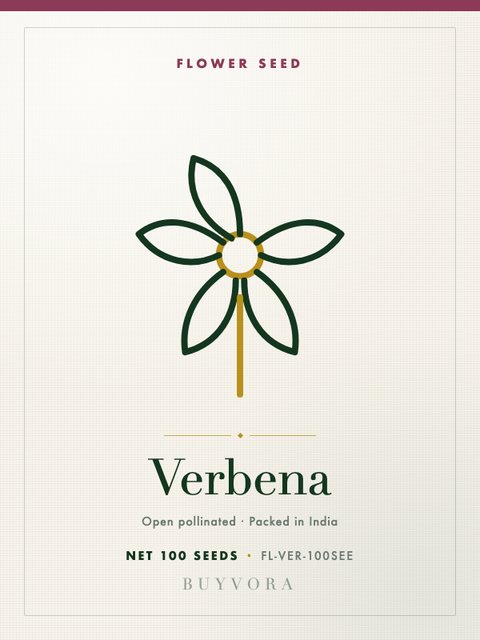Verbena Seeds 100 Seeds