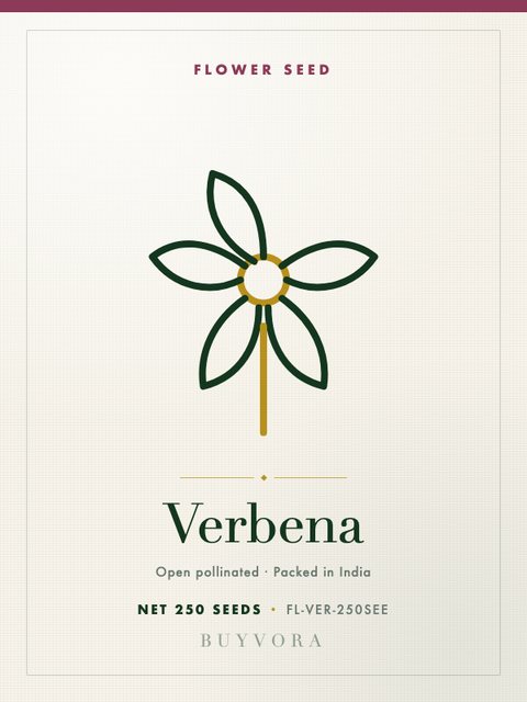 Verbena Seeds 250 Seeds