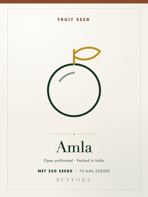 Amla Seeds 250 Seeds
