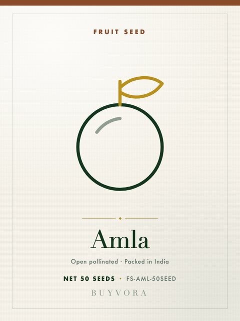 Amla Seeds 50 Seeds