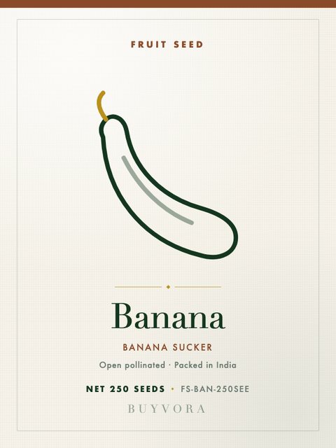 Banana Sucker Seeds 250 Seeds