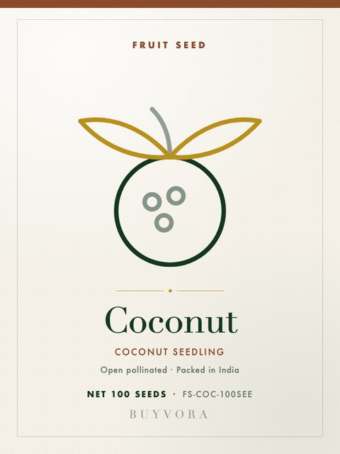 Coconut Seedling Seeds 100 Seeds