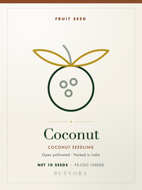 Coconut Seedling Seeds 10 Seeds