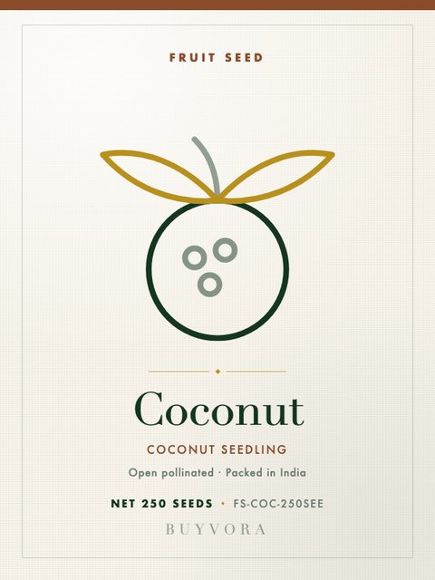 Coconut Seedling Seeds 250 Seeds