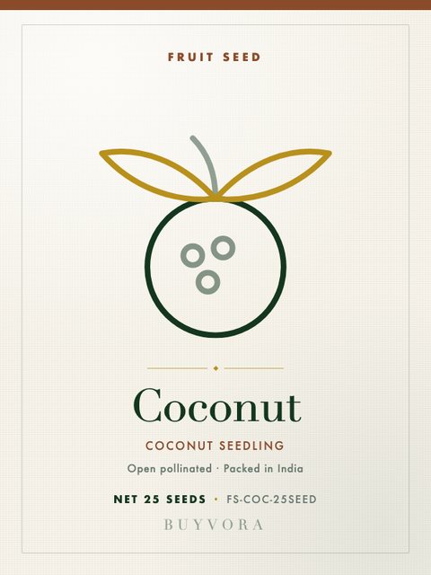 Coconut Seedling Seeds 25 Seeds