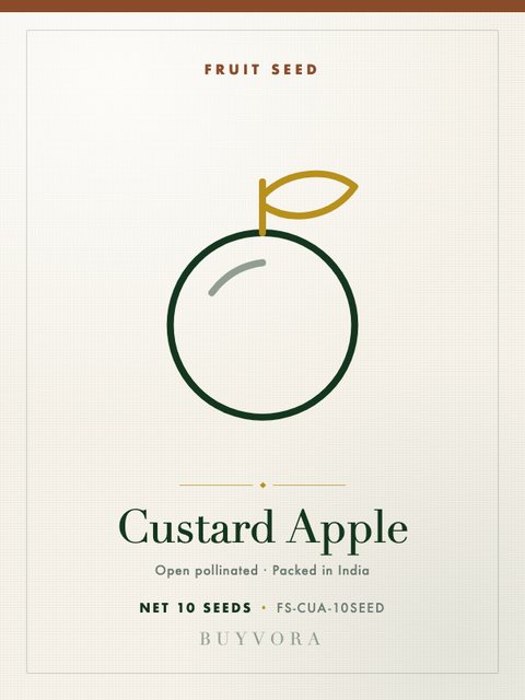 Custard Apple Seeds 10 Seeds