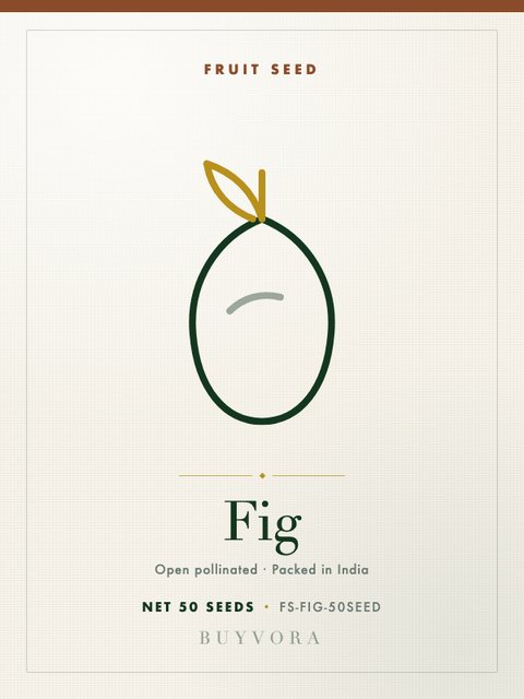 Fig Seeds 50 Seeds