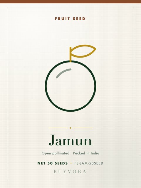 Jamun Seeds 50 Seeds