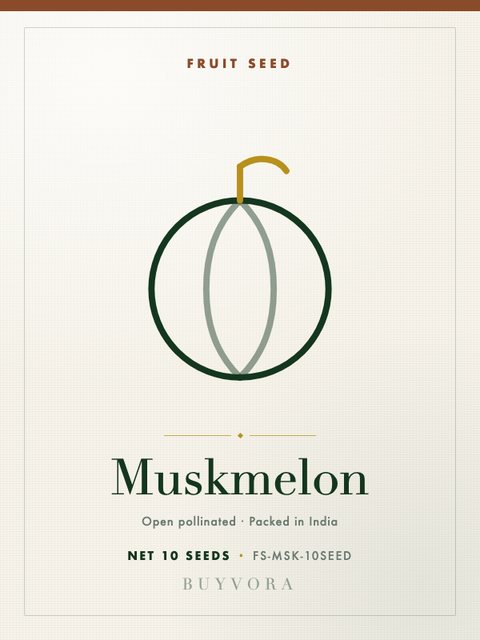Muskmelon Seeds 10 Seeds