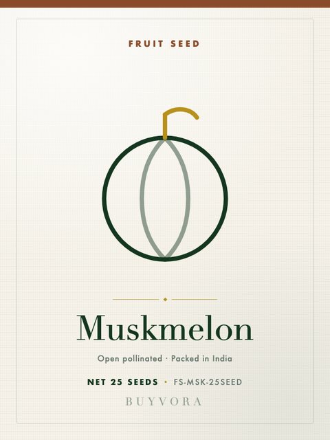 Muskmelon Seeds 25 Seeds