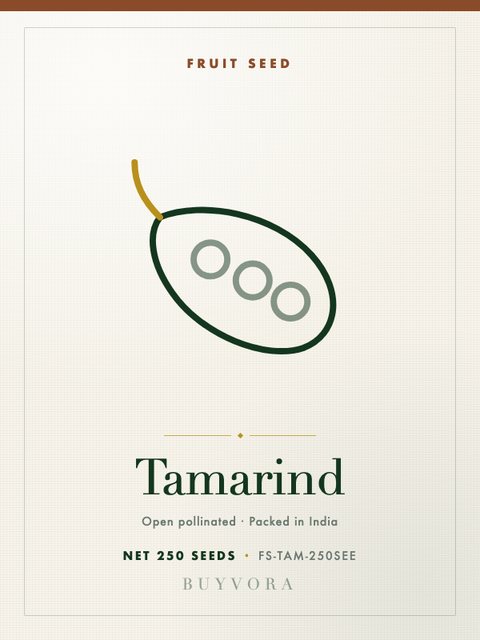 Tamarind Seeds 250 Seeds