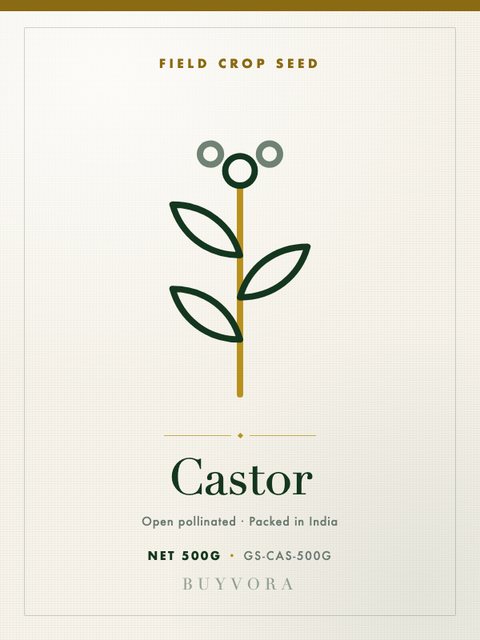 Castor Seeds 500g