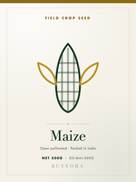 Maize Seeds 500g