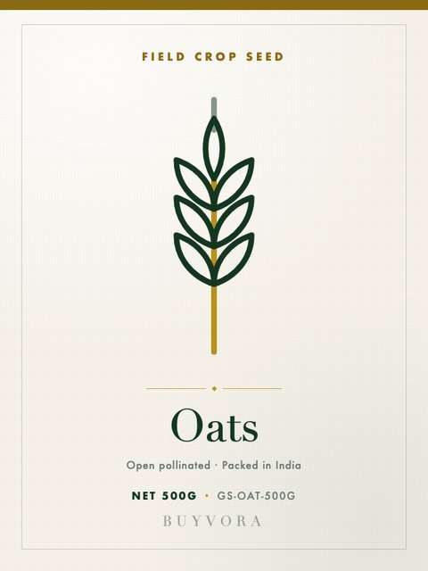 Oats Seeds 500g