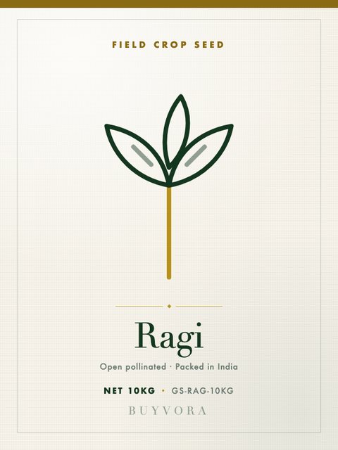 Ragi Seeds 10kg