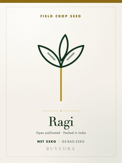 Ragi Seeds 25kg