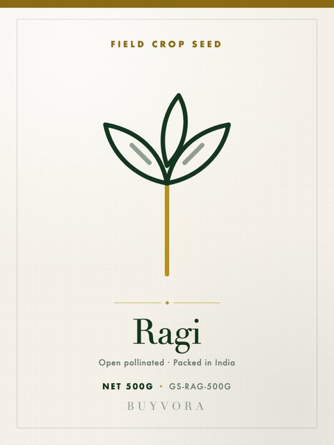 Ragi Seeds 500g
