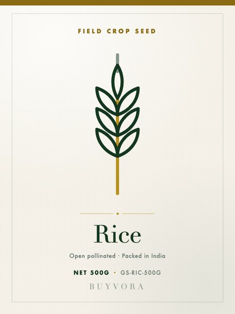 Rice Seeds 500g