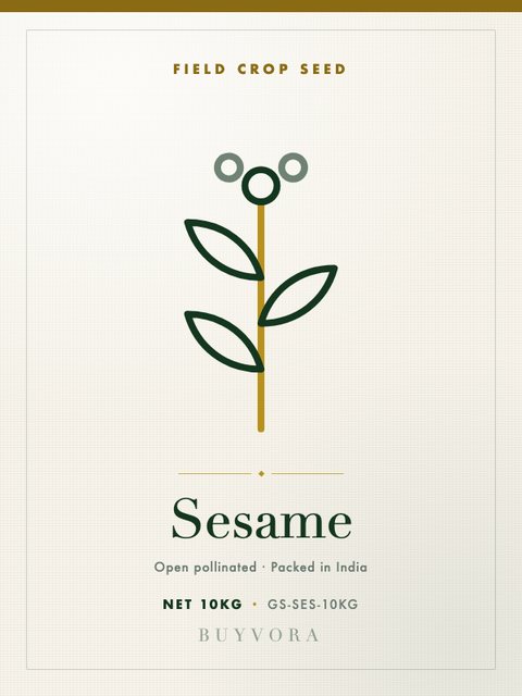 Sesame Seeds 10kg