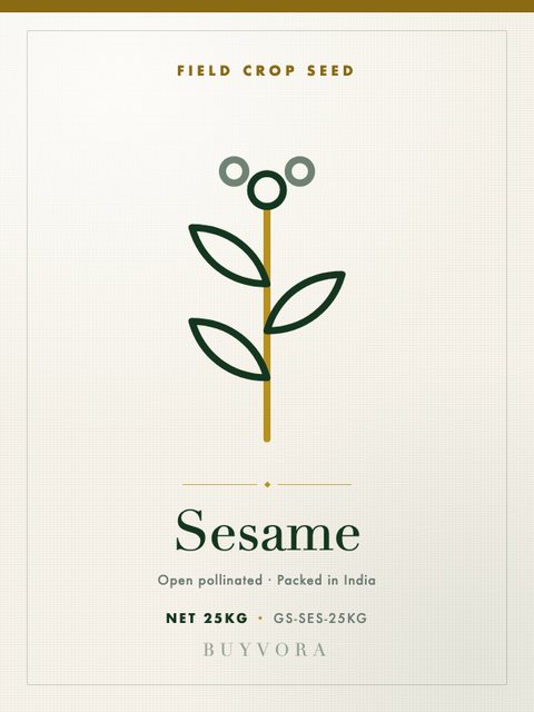 Sesame Seeds 25kg