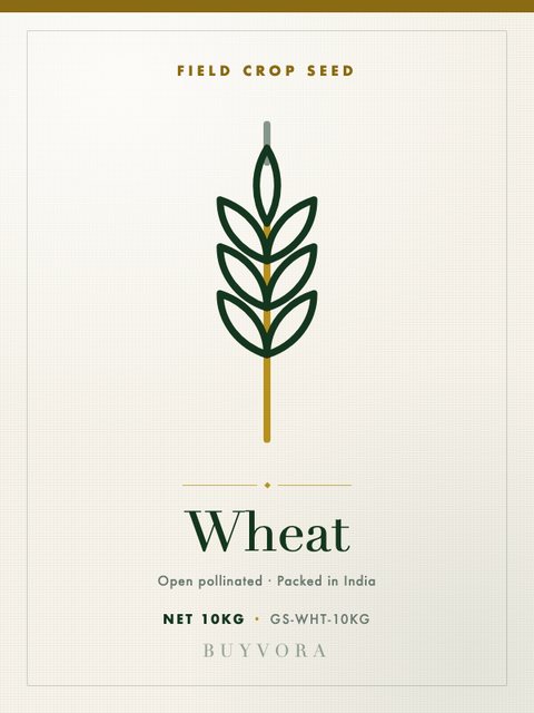 Wheat Seeds 10kg