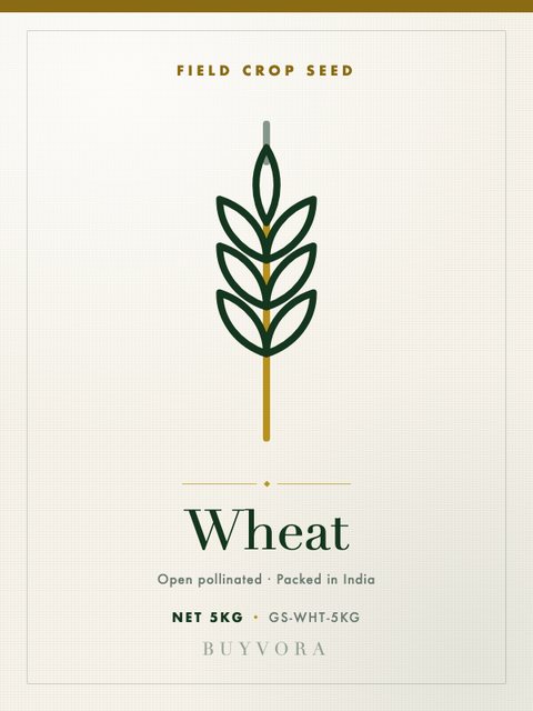 Wheat Seeds 5kg