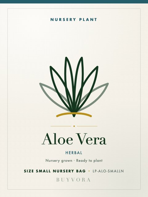 Aloe Vera Small Nursery Bag
