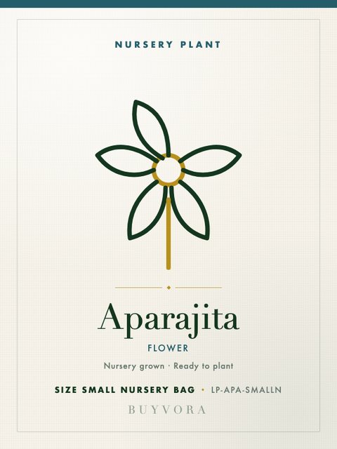 Aparajita Plant Small Nursery Bag