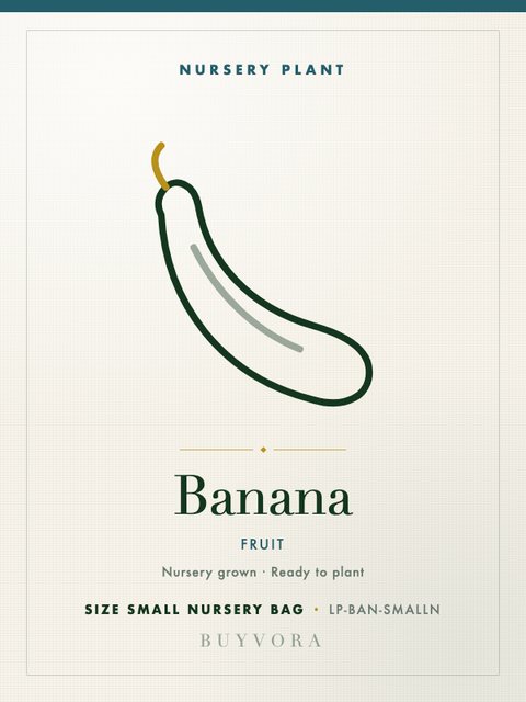 Banana Plant Small Nursery Bag