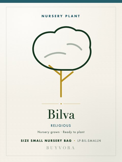 Bilva Plant Small Nursery Bag