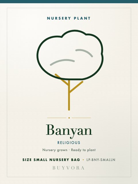 Banyan Sapling Small Nursery Bag