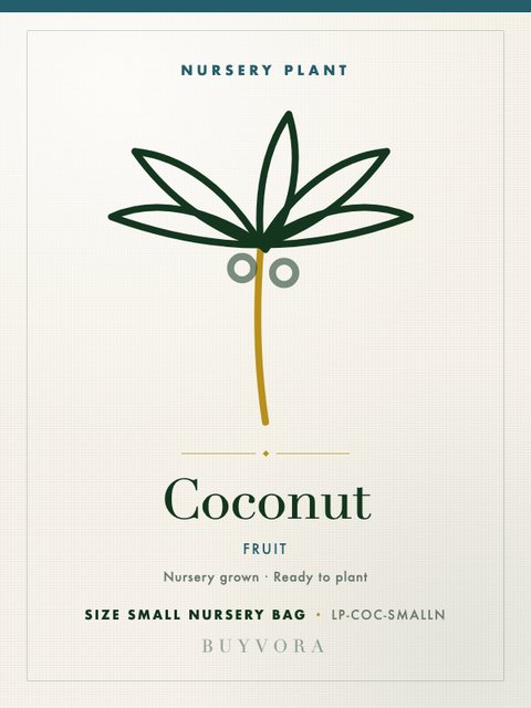 Coconut Plant Small Nursery Bag